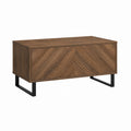 Table basse avec rangement marron noyer en panneaux MDF plaqués bois et acier 100 x 60 x 45 cm